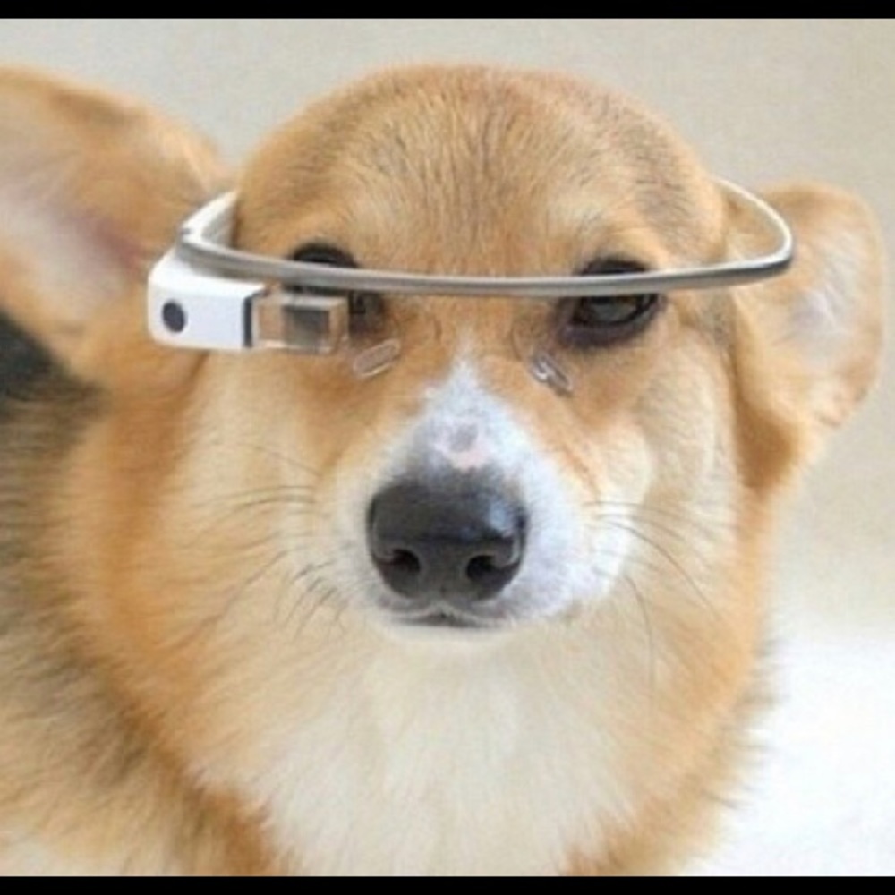 Meet your Posher, Corgibot5000